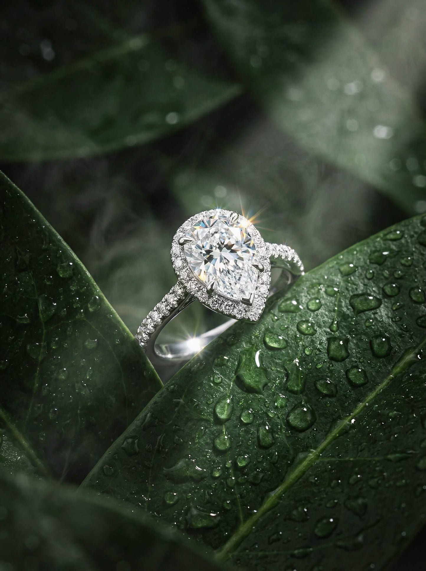 Diamond ring on a wet leaf with a green leafy background